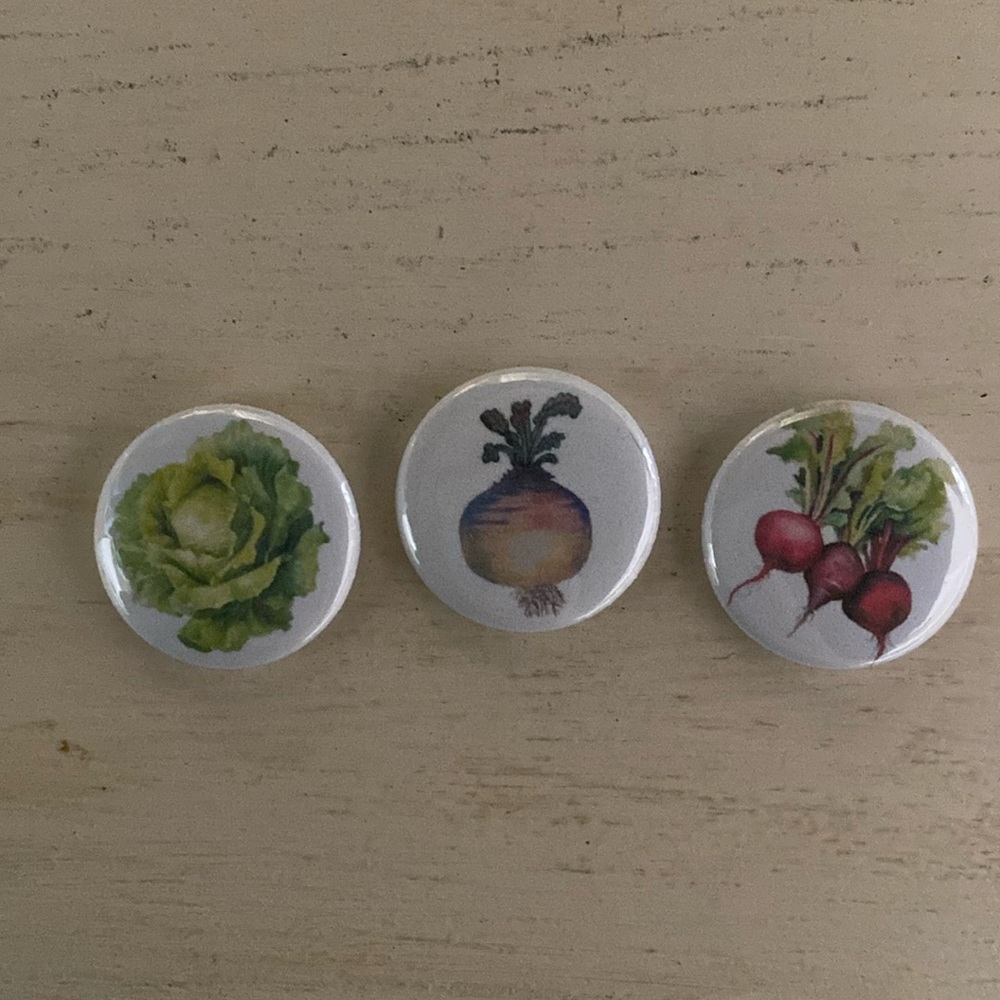 New! Lettuce Turnip the Beets 1” Pinback Button Set